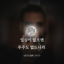 일심 이미지