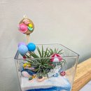 푸른샘초등학교 이미지