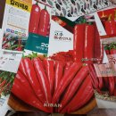 파피농원