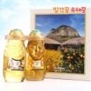 밀감상회