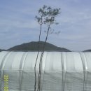 계심헌 공예 미술관 이미지