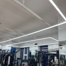 추&박 헬스클럽 이미지