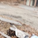 (주)코리아세븐 남양주덕소점 | 파크골프채 대여 꿀팁 및 가격과 종류