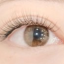 수원-1355 이미지