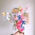 플라워1030(Flower1030) 이미지