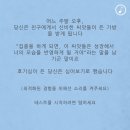 포레스트(forest) 이미지