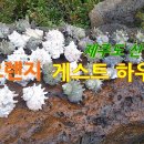 오렌지게스트하우스 이미지