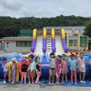 홍천유치원 네이버블로그