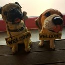 까까몽 애견미용실 이미지