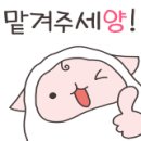 피씨앤씨 이미지