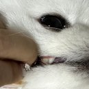 잠실베스트동물메디컬센터 이미지