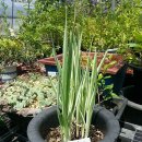 도천농장 이미지