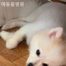 버스정류장(영광통) 이미지