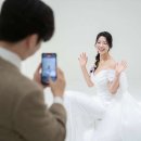 손금선애견세상 이미지