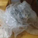 킴스동물병원 이미지