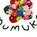무무크(mumuk)
