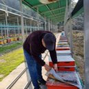 경남양봉산업 이미지