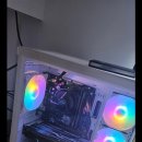 올리브트리 이미지