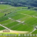 녹수청산 이미지