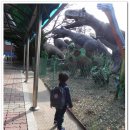 경산공룡박물관 이미지