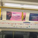 메이저2 호스텔 | 영국 교환학생 일상 #7 - 런던에 가다