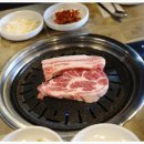육탐