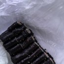 꺼벙이 소양점 이미지