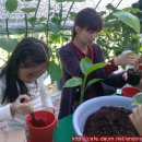 삼성농장 (2) 이미지