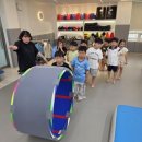 삼손태권도예절관 이미지