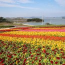 병풍도 티스토리