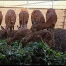 광개토농장 이미지