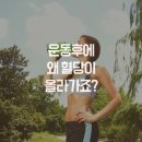 운동후에 혈당이 상승하는 이유 (당뇨) 이미지