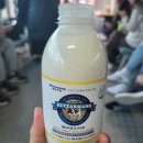 비고리조트 19 이미지