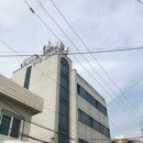 유경고추