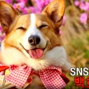 백호농장 이미지