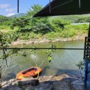 복실이네 애견 이미지