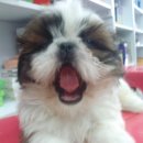 하늘샘약국 이미지