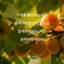 이초석: 교회신문 ＞ 제 1314호 남을 도와주면 내가 윤택해진다 (신28:1~15) 이미지