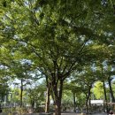 와와공원 화장실 이미지