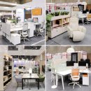 코아스코리아 이미지