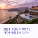 오션스테이7 티스토리