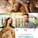 지니어스 독 Think Like a Dog(2020) 이미지