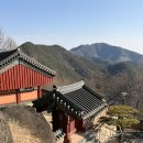 사성암 | 전남 구례여행/구례 사성암 3~4월 방문후기 주차장 및 올라가는법 꿀팁