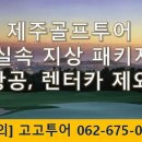고고렌트카주 이미지