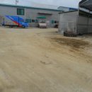 행안면사무소 이미지