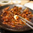 오늘은 쭈꾸미