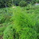 동신농장 이미지