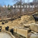 산들염소농장 이미지