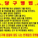 당구놀이 Daum카페