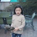 오군몰 네이버블로그
